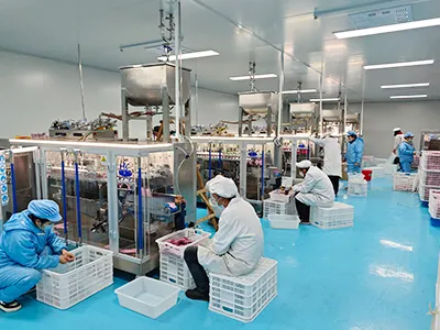 نبذة عن الشركة