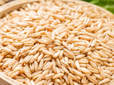 تعبئة الحبوب