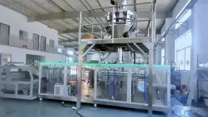 ماكينة تعبئة أكياس ستاند اب HFFS ذات فوهة واحدة