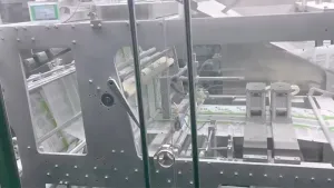 ماكينة تعبئة أكياس ستاند اب HFFS ذات فوهتين