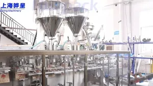 ماكينة تعبئة أكياس جاهزة ذات محرك سيرفو ذات فوهة واحدة