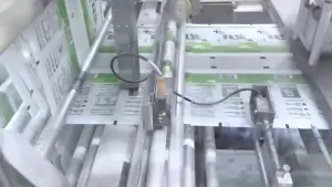 ماكينة تعبئة الملح في أكياس رول ستوك