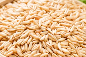 المنتجات المناسبة للتعبئة