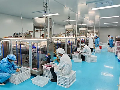 دراسات مشاريع العملاء